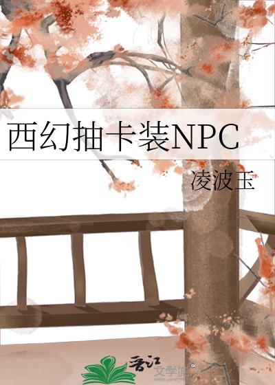 西幻抽卡装NPC