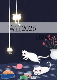 官宣2026