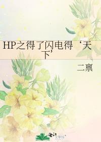 HP之得了闪电得‘天下’