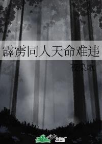 霹雳同人天命难违