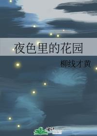 夜色里的花园