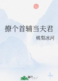 撩个首辅当夫君