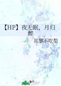 【HP】夜无眠，月归醉