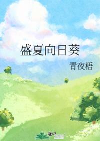 盛夏向日葵