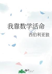 我靠数学活命