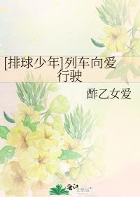 [排球少年]列车向爱行驶