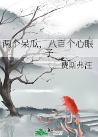 两个呆瓜，八百个心眼子